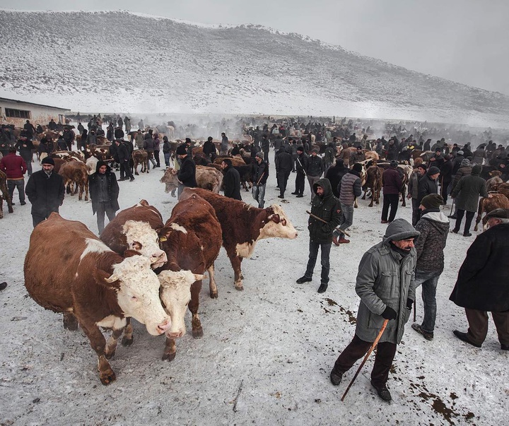 Gallery of Photos by Aygul Ozturk-Turkey