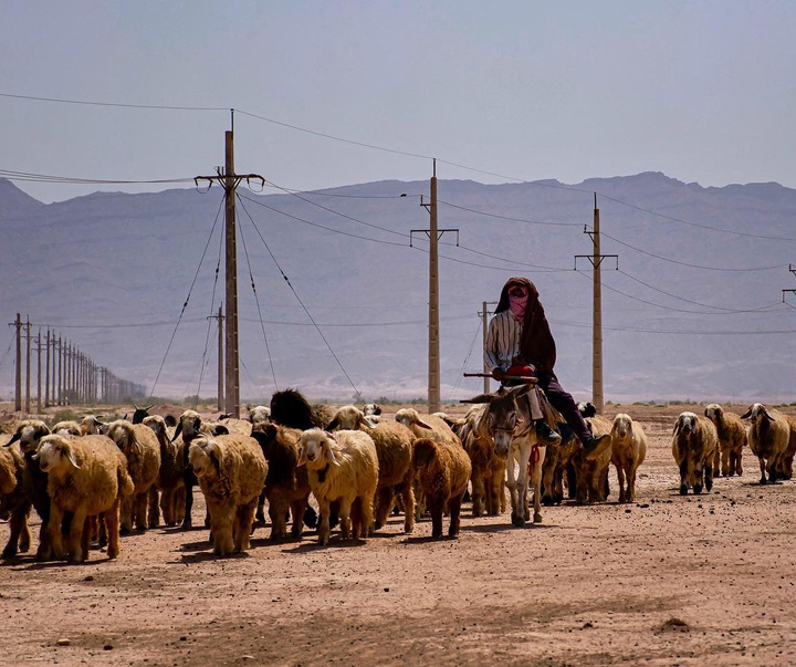 Gallery of Photo by Yasmin Hosseinnejad-Iran