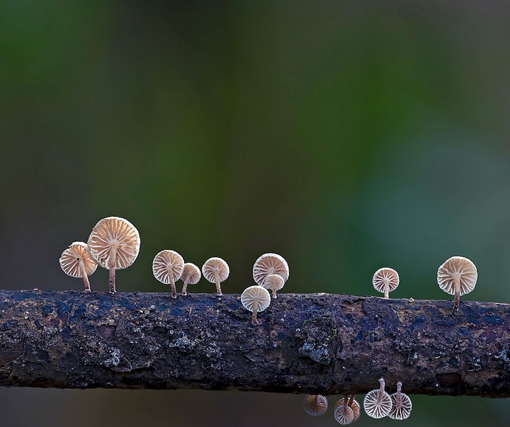 Gallery of Photography by Emma Steele