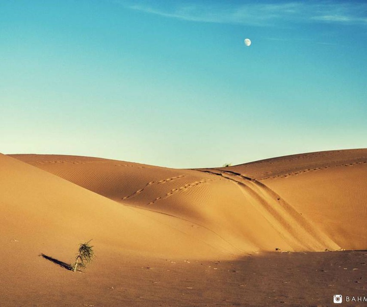 Gallery of photography by Bahman Azizi- Iran