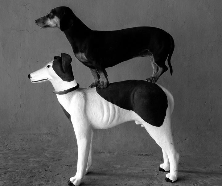 Gallery of Photography by Flor Garduño - Mexico
