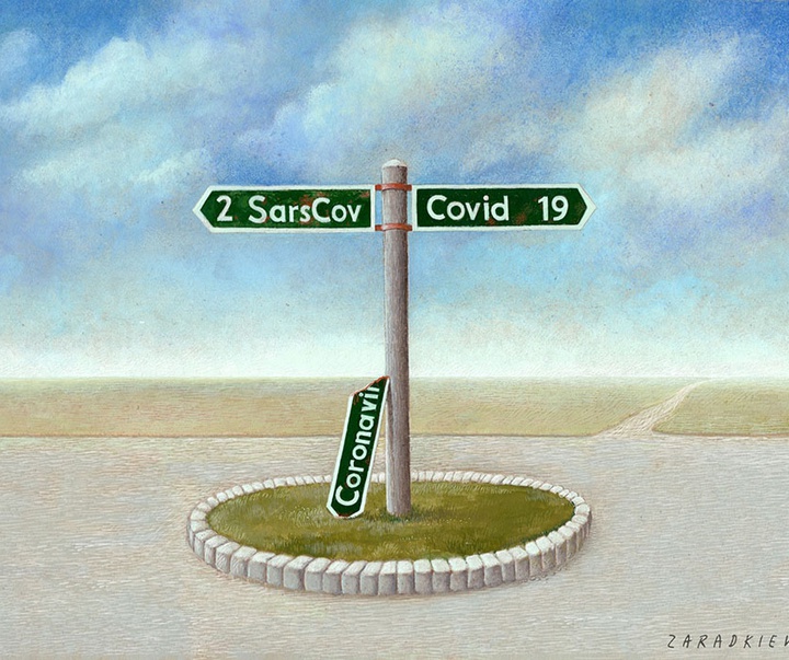 Gallery of Cartoon by Zygmunt Zaradkiewicz-Poland
