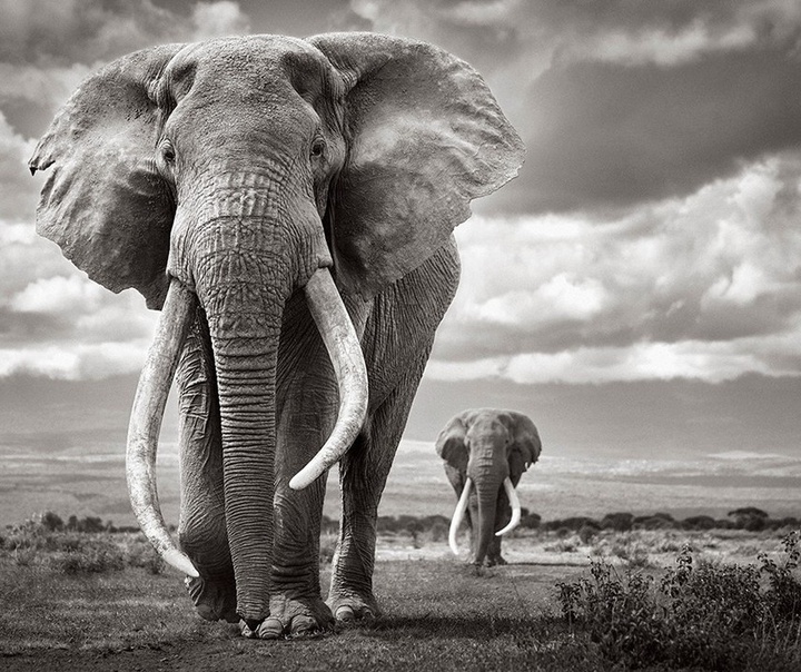 Drew Doggett