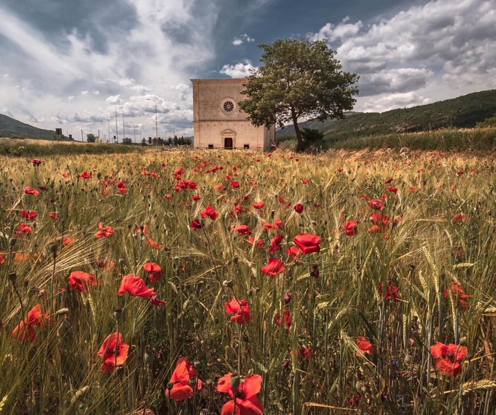 Gallery of Photography by Lyon Corso - Italy
