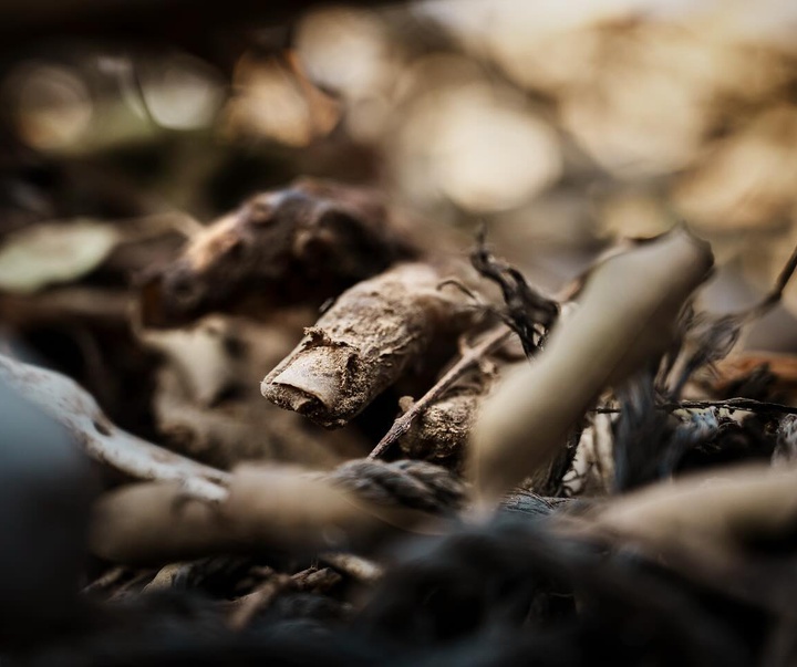 Gallery of Photography by Marcus Yam - Malaysia