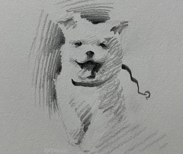 Shou Xin