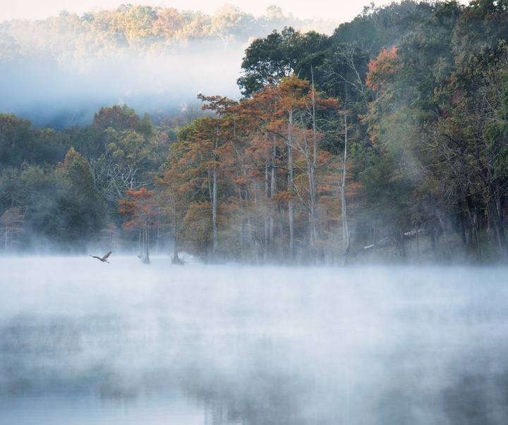 Gallery of Photography by Jake Durham - USA