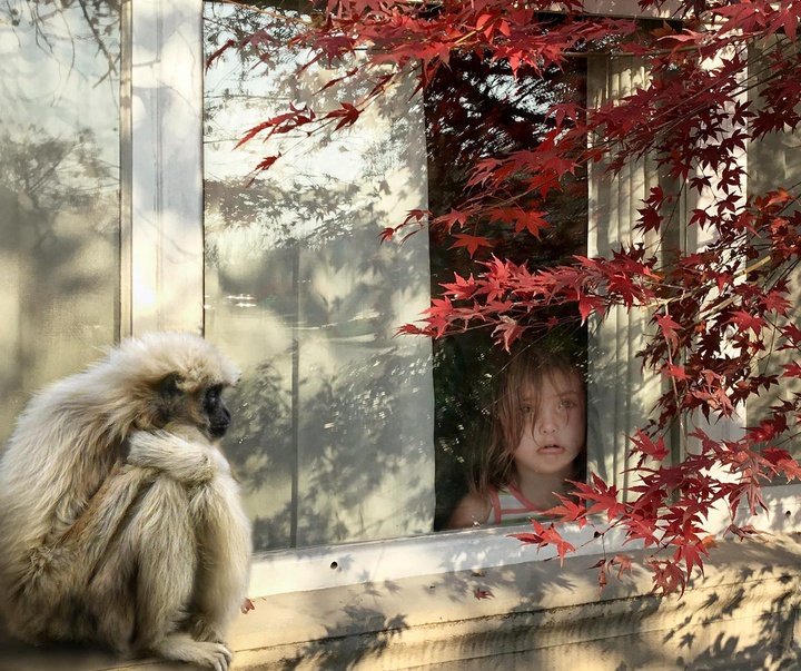 Gallery of humor photography by Bea Blousson-Argentina