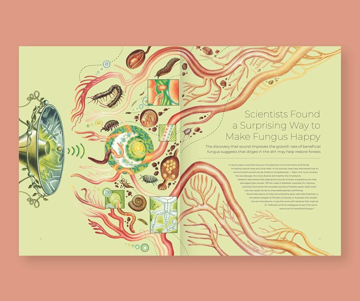 Gallery of Illustration by Ada Zejun Shen - USA