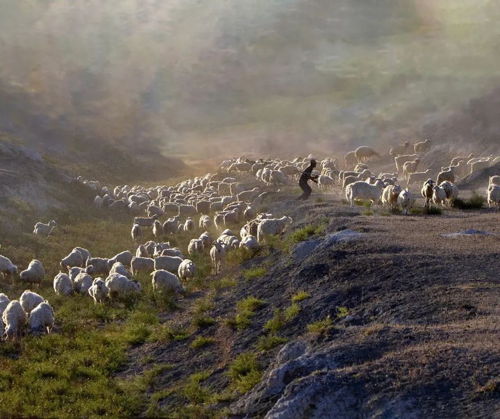 Gallery of photography by Mustafa Shahbaz - Turkey