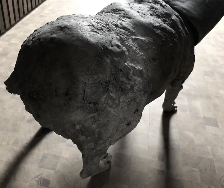 Gallery of sculpture by Patrycja Sipa - Poland