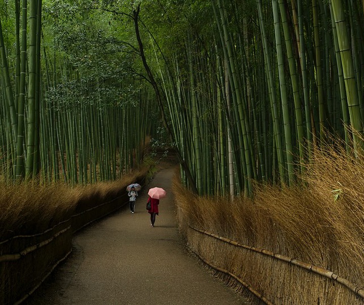 Gallery of Photography by Michael Yamashita - USA