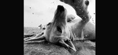 Gallery of Photography by Dimpy Bhalotia - India