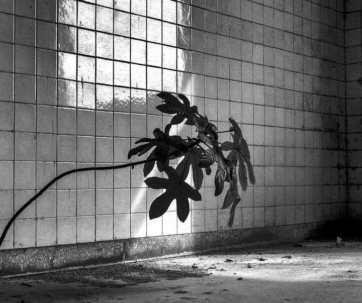 Gallery of Photography by Luis Casadevall - Spain