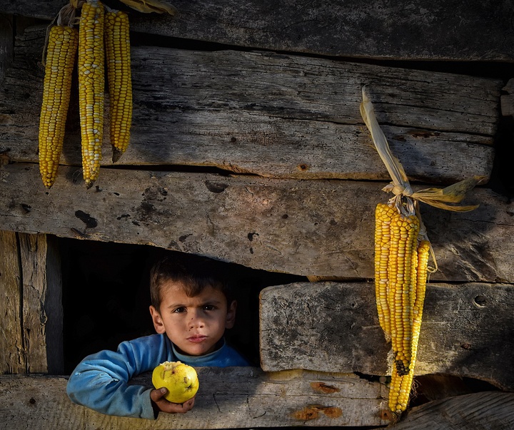 Gallery of Photography by Niyazi Gürgen - Turkey