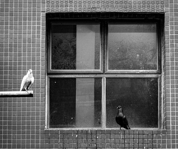 Gallery of Photography by Jason Au - Hong Kong