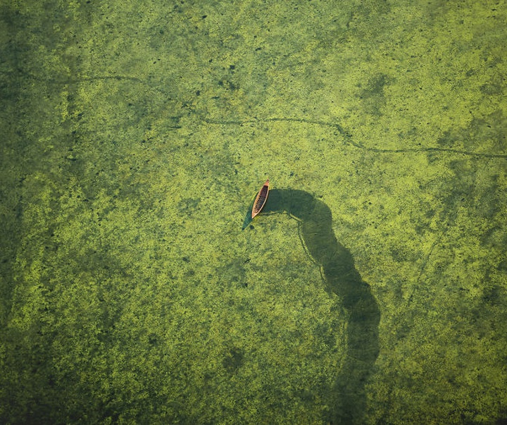 Gallery of Photography by Shamim Shorif Susom - Bangladesh