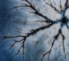 Gallery of Photography by Marcin Giba - Poland