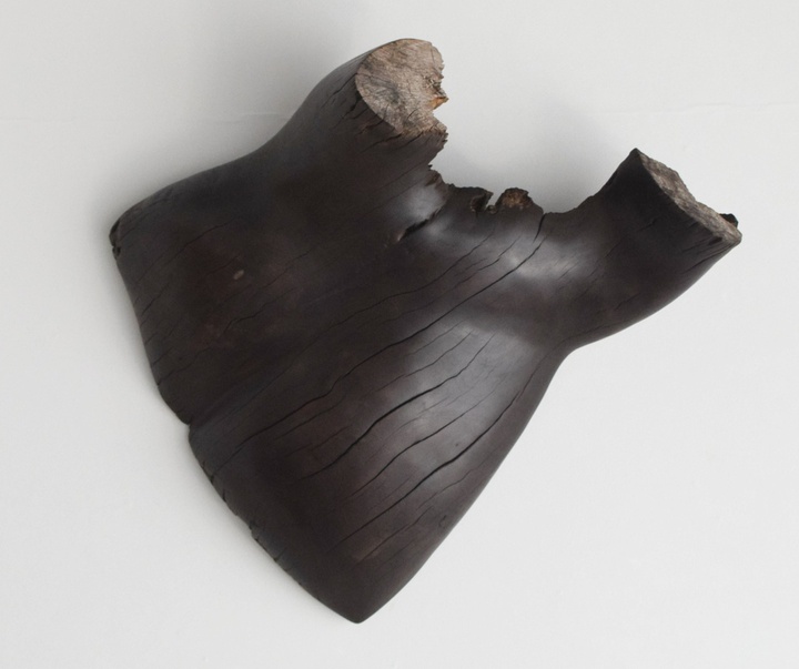 Gallery of Sculpture by Tatsushi Takishita - Japan