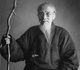 Qi Baishi