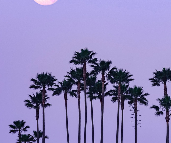 Gallery of photography by Beau Jesse Johnston-USA