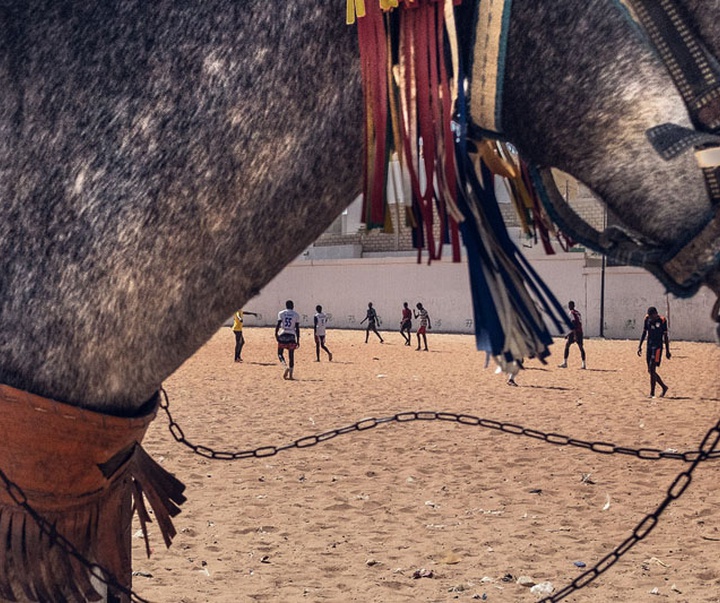 Gallery of photography by Skander Khalif-Tunisia