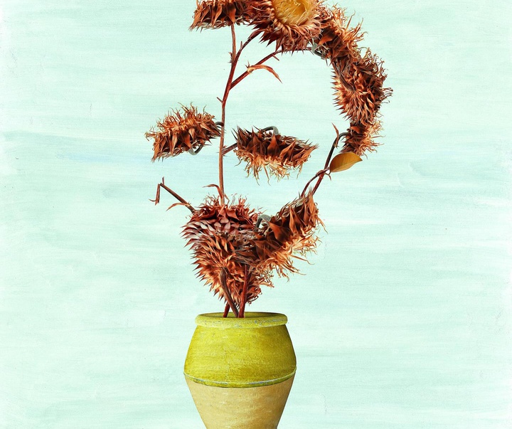 Gallery of Illustration by Pablo Bernasconi - Argentina