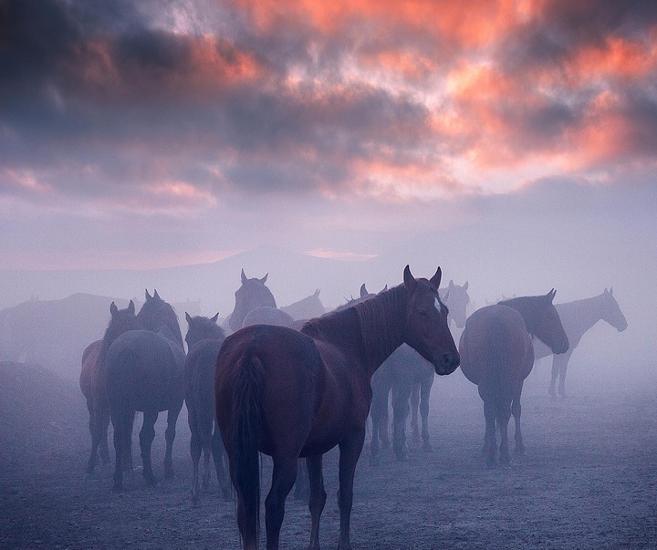 Gallery of photography by Cuma Cevik-U.K.