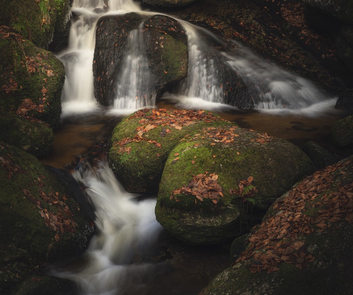 Gallery of photography by Pujan Shadlau - Austria