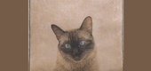 Gallery of Painting by Marta de la Sota Cores - Spain
