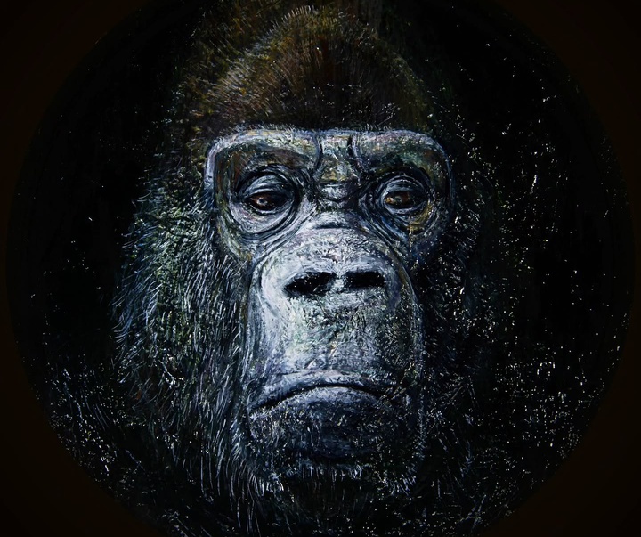 Gallery of Painting by Tomohiro Takagi - Japan