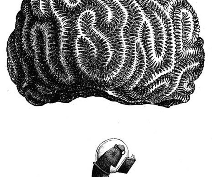 Gallery of humor illustration by Klaas Verplancke -Belgium