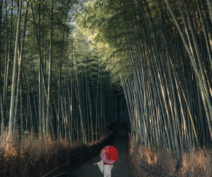 Gallery of Photography by Luke Stackpoole - UK