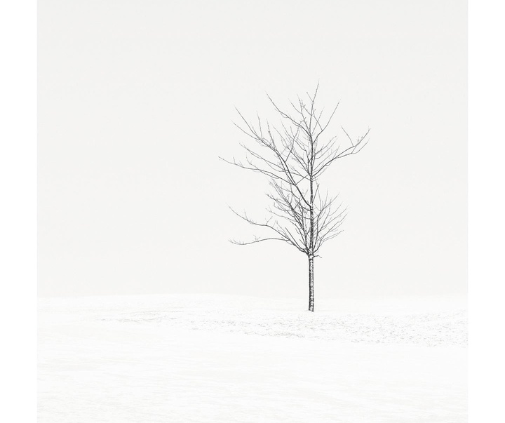 Gallery of Photography by Noel Clegg