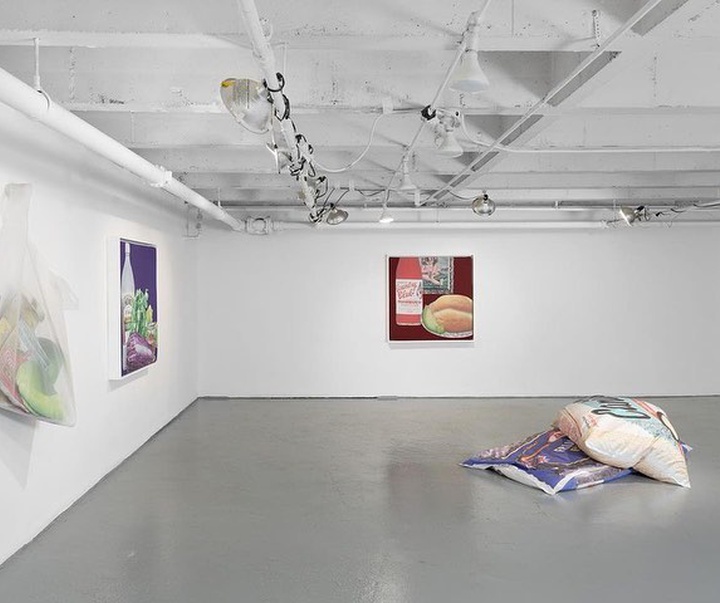 Gallery of Modern Art by Lucia Hierro - Dominican American