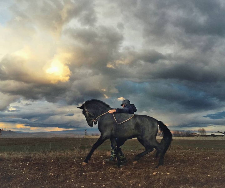 Gallery of photos by Hojjat Hamidi from Iran