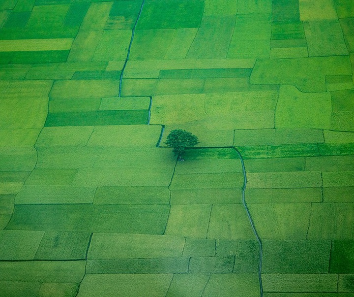 Gallery of Photography by Shamim Shorif Susom - Bangladesh