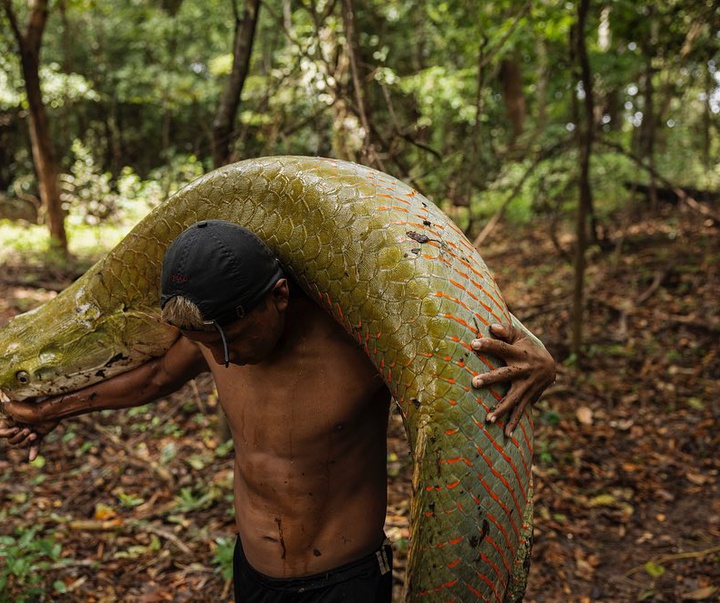 Gallery of Photography by Lalo de Almeida - Brazil