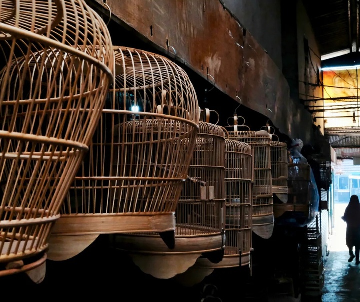 Gallery of Photography by Kenzou Sastra