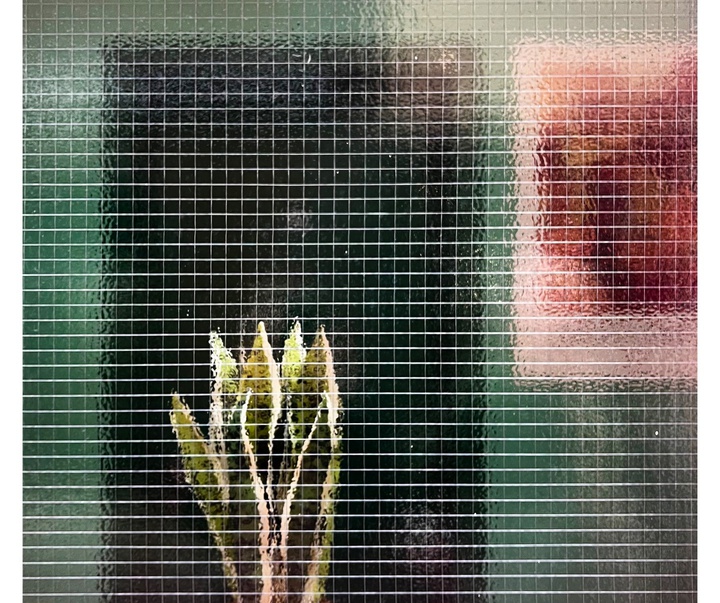 Gallery of Photography by Charlotte Laboyrie