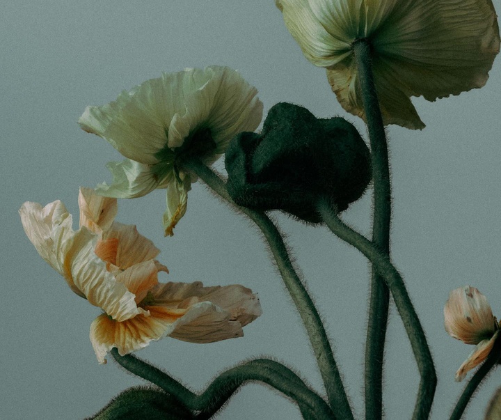 Gallery of Photography by Joe Clarke - UK