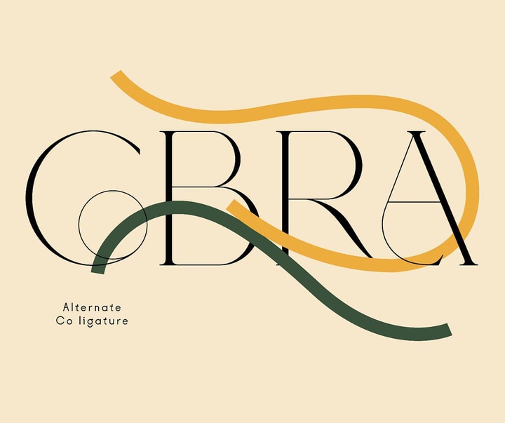 Gallery of graphic designe by Violaine & Jérémy