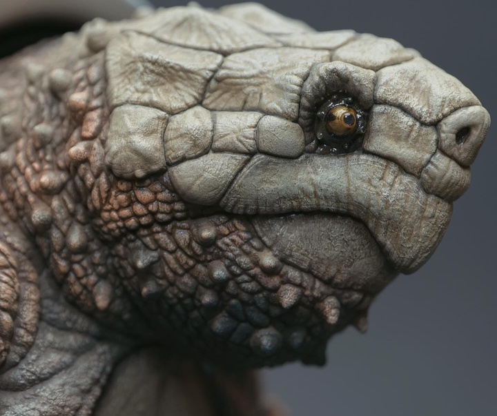 Gallery of Sculpture by cheul kyun - South Korea