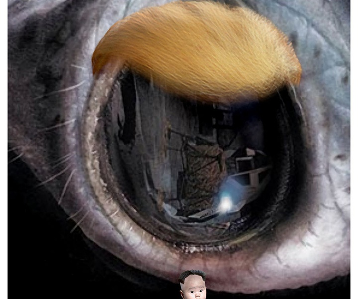 First Selection of the International Cartoon Contest “Terror Online”