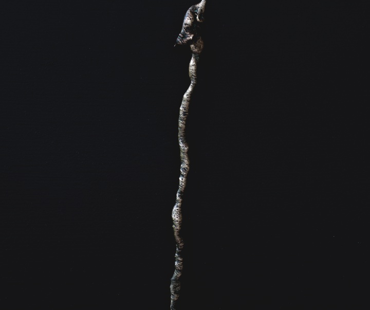 Gallery of Sculpture by Bartek Śnieciński - Poland