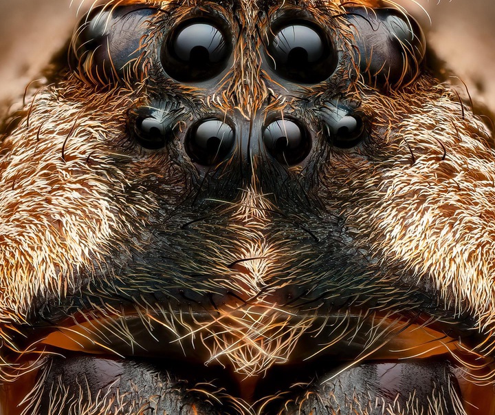 Gallery of Photography by Ben Salb - USA