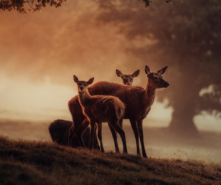 Gallery of Photography by Gareth Llewellyn - Wales