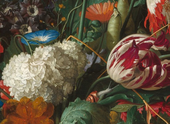 A celebration of the beauty of flowers in the works of Jan Davidsz de Heem