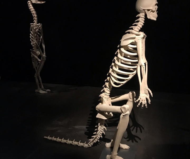 Gallery of Sculpture by Ilkka Virtanen - Finland