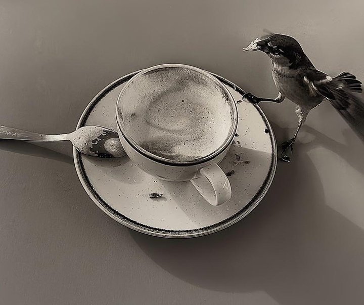 Gallery of Photography by Flor Garduño - Mexico